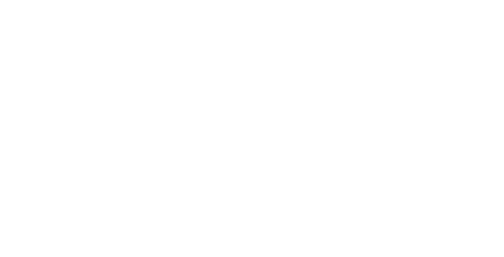 SeaBlue Project Logistics Network